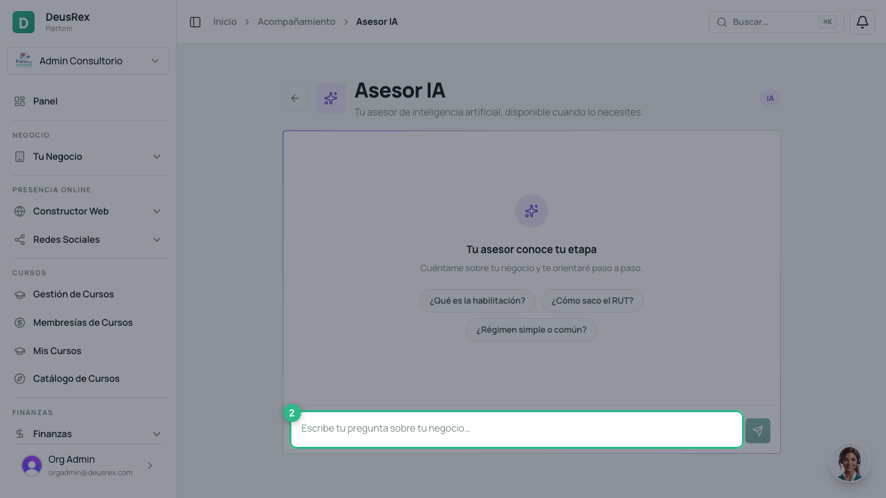 Escribe tu pregunta al Asesor IA